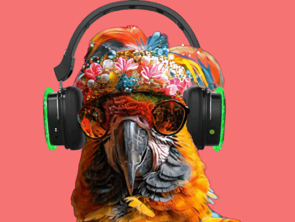 2silent disco
