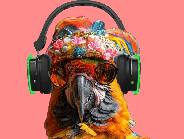 2silent disco