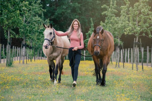 crash course in equine knowledge 2