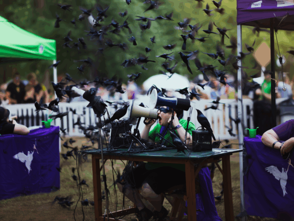 minortransmediadesign add some scare crows in the background 3c7286bb d5b3 4b76 9eaf e74a8adb7e37