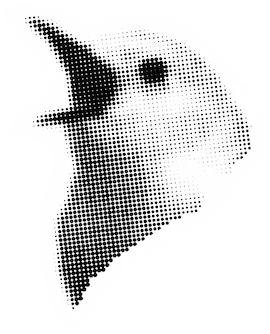 vogeltje half vvf