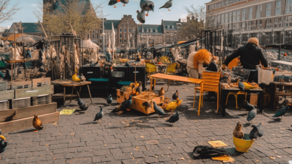 vogeltjesmarkt