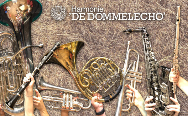 vvf dommelecho rommelen met instrumenten